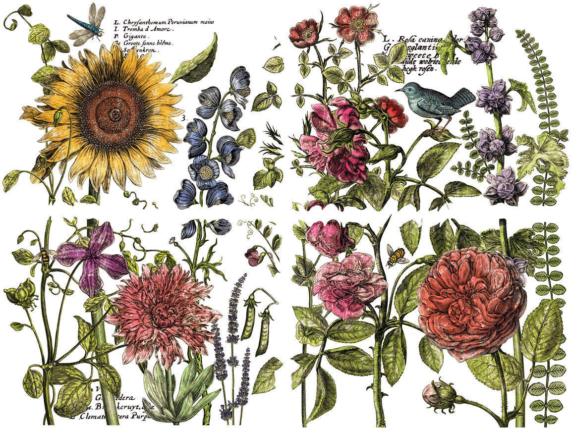IOD Botanist"s Journal Transfer