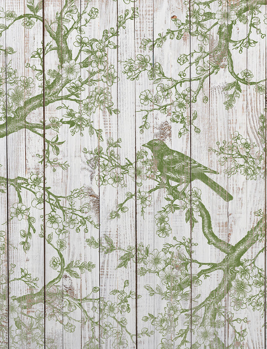 IOD Shade & Song Stamp