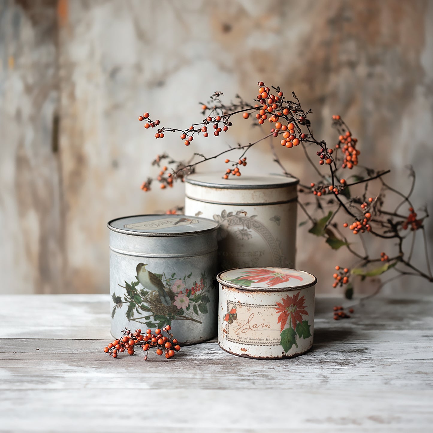 IOD Winter Botanist Transfer
