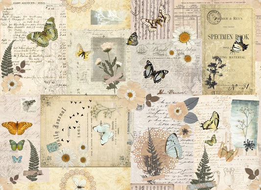 Roycycled Pressed Flowers Masterboard