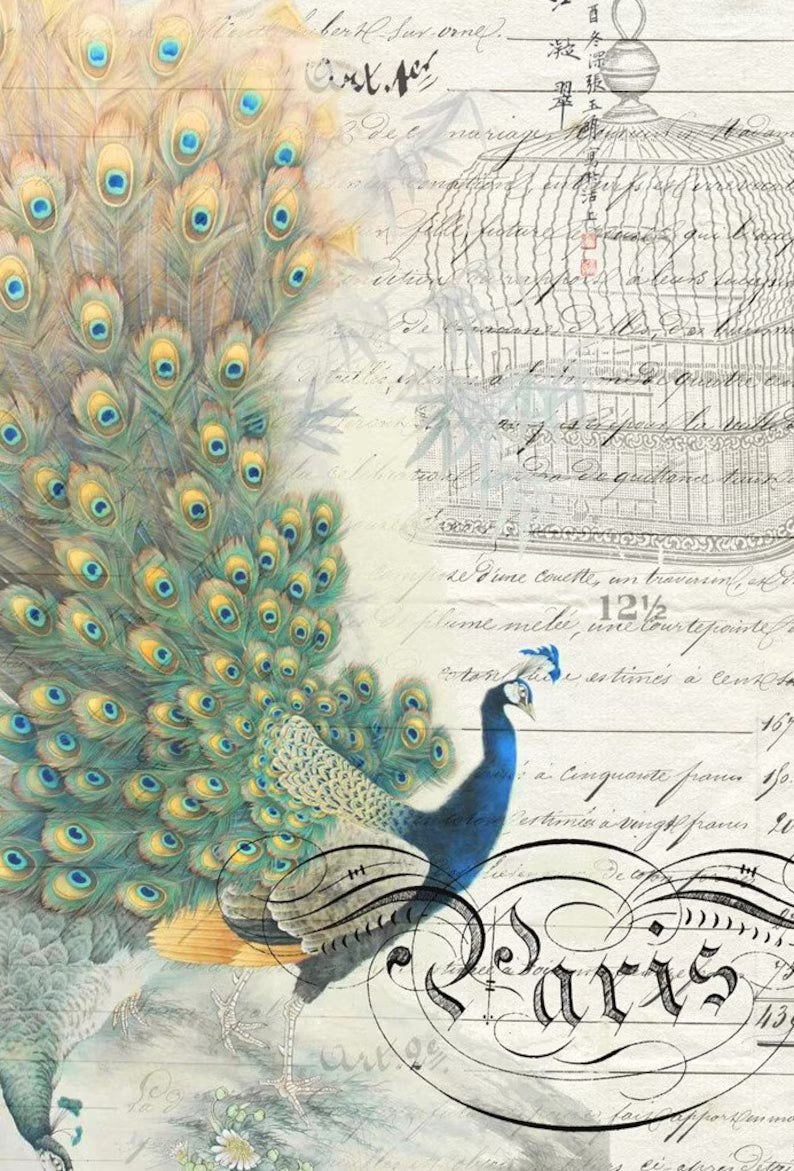 Roycycled Bird Ephemera Decoupage Paper