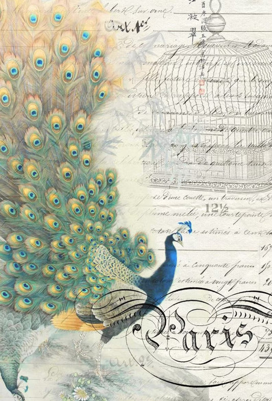 Roycycled Bird Ephemera Decoupage Paper