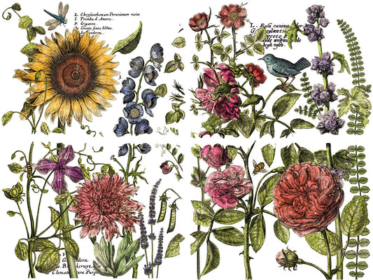 IOD Botanist"s Journal Transfer