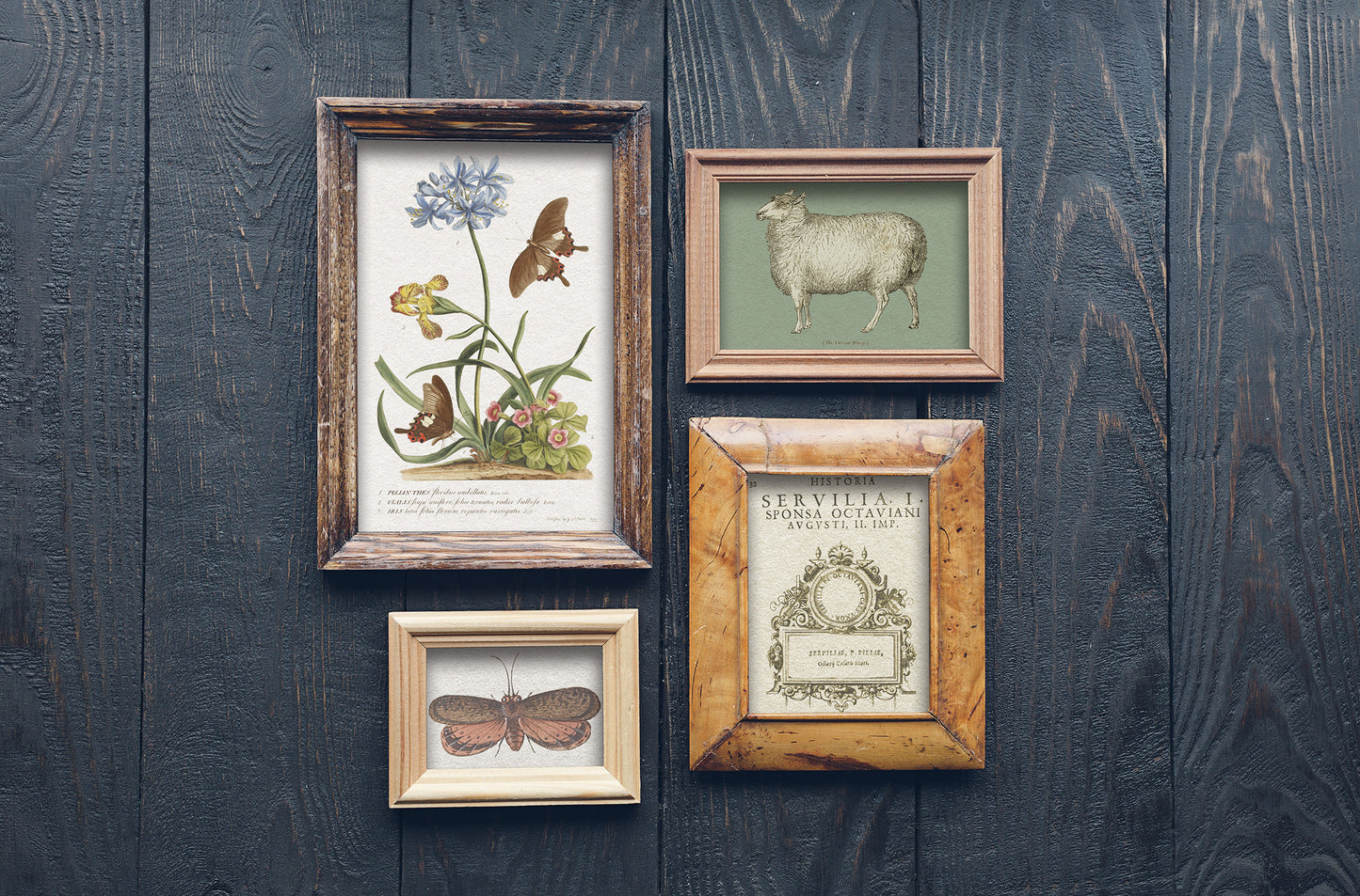 Brocante Transfer 12x16 pad Iron Orchid Designs (IOD)