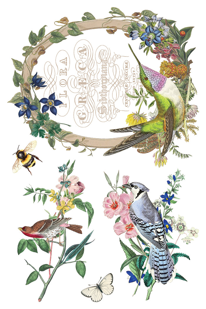 Flora Greca Transfer