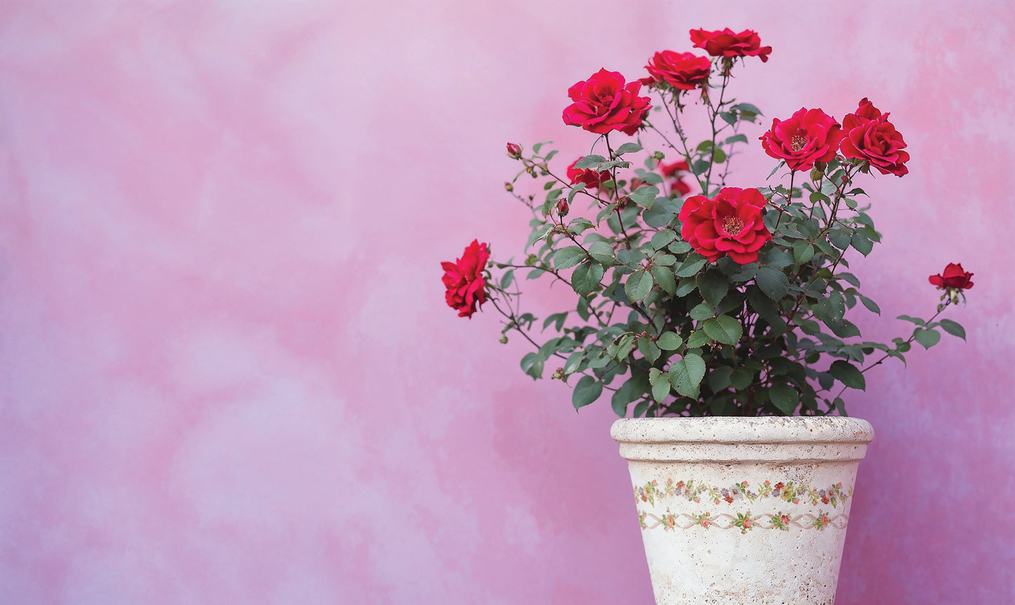 Ditsy Blooms Paint Inlay